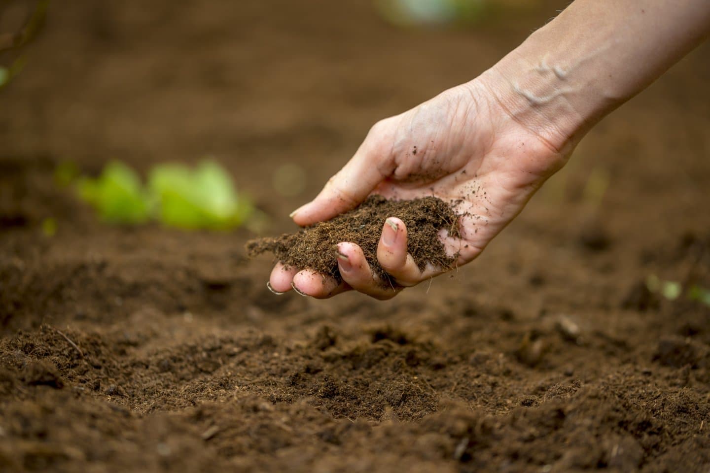 Patarimai kaip pagerinti dirvožemį